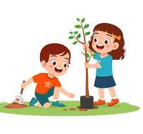 Tree Plantation Activity primary section 